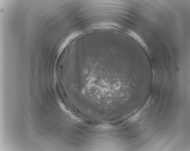 X0000061140994200512091929