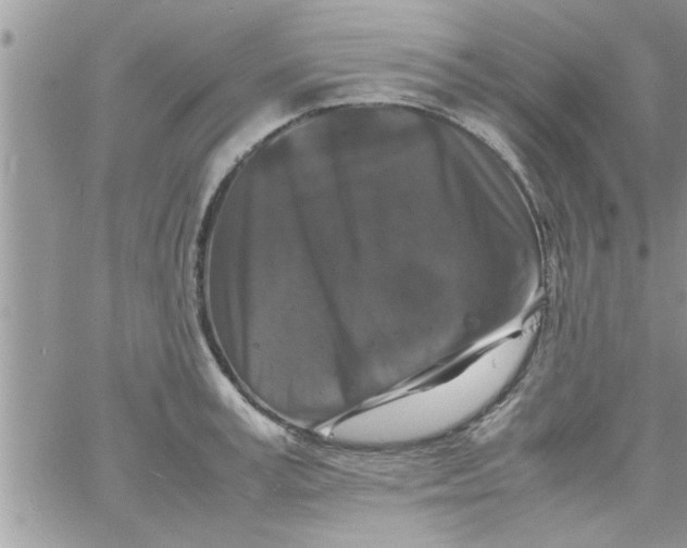 X0000061140995200512091929