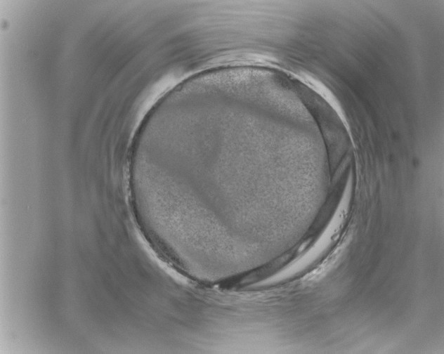 X0000061140997200512091929