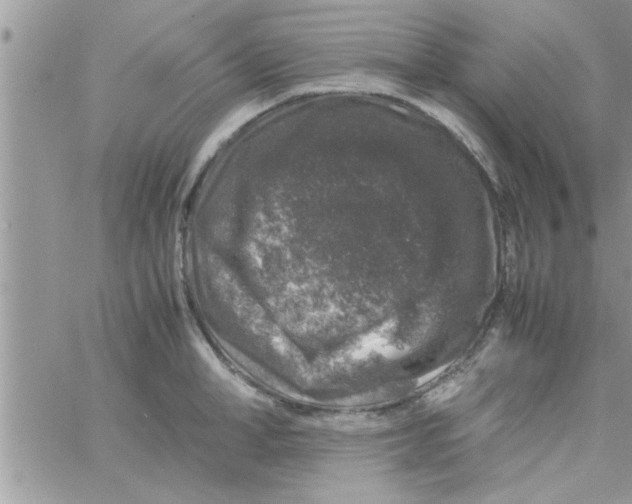 X0000061140998200512091929