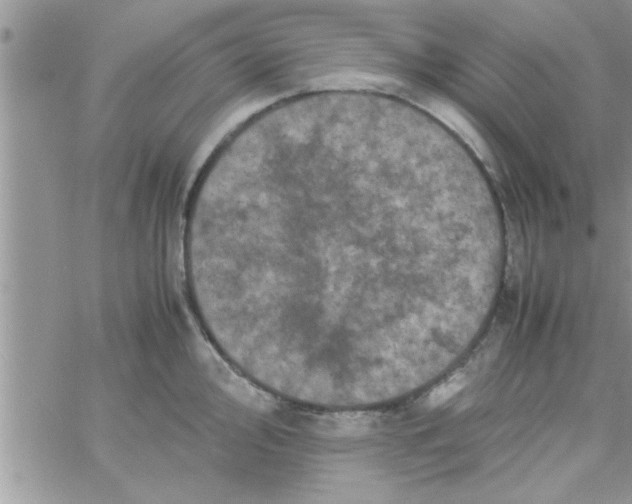 X0000061141000200512091929