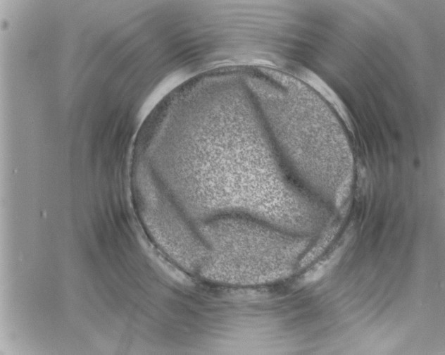 X0000061141002200512091929