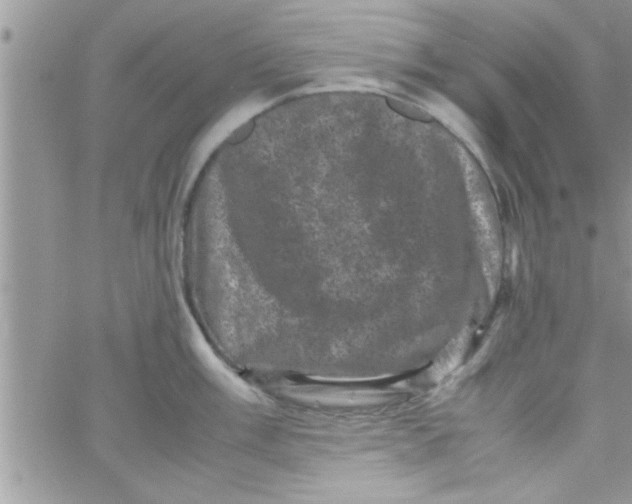 X0000061141003200512091929