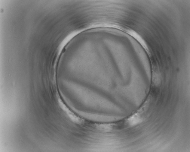 X0000061141004200512091929