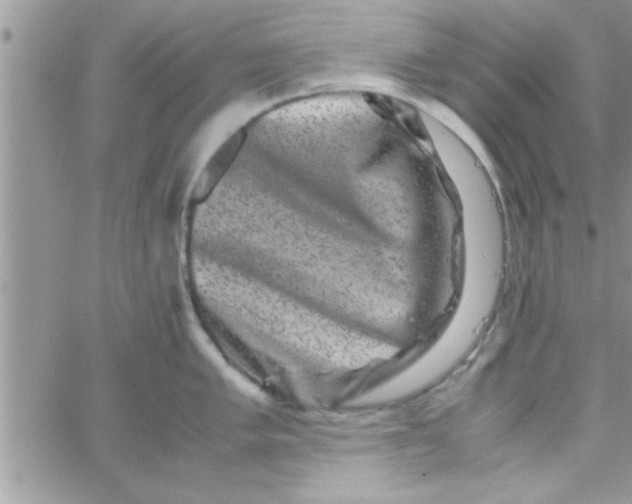 X0000061141005200512091929