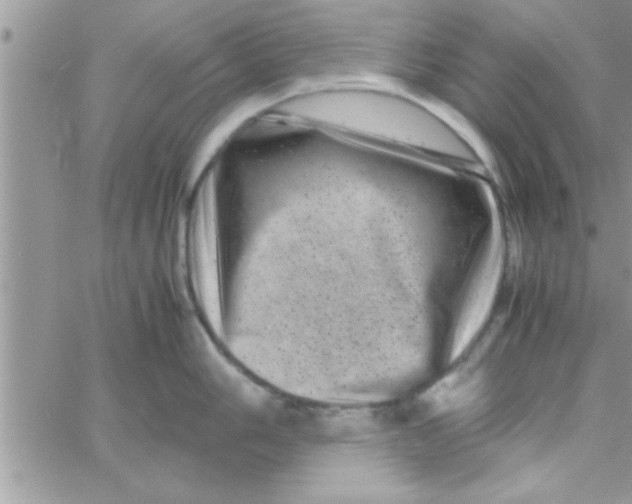 X0000061141006200512091929