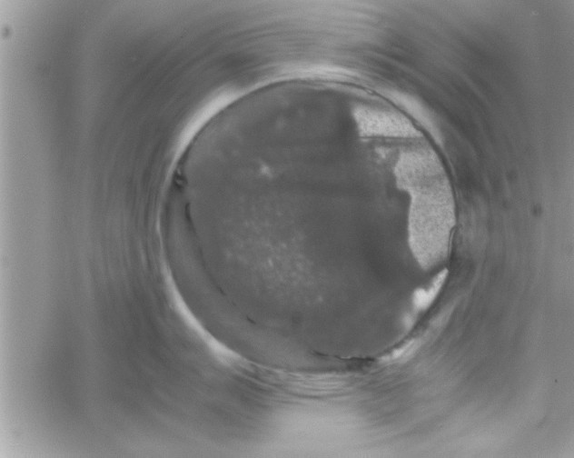 X0000061141007200512091929