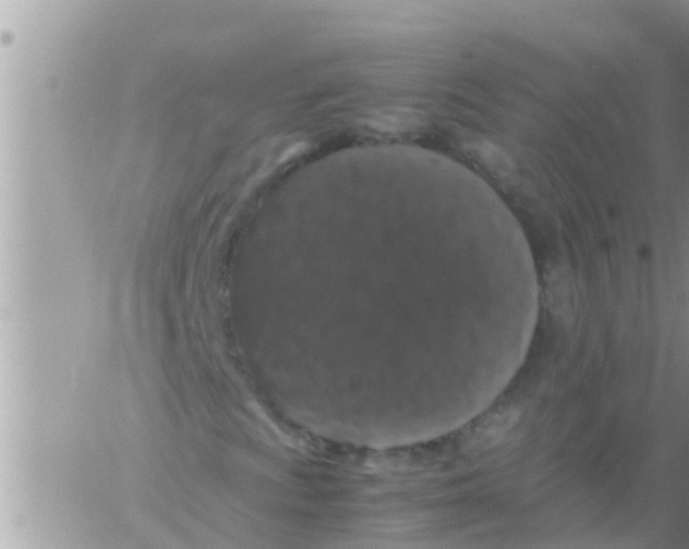 X0000061141009200512091928