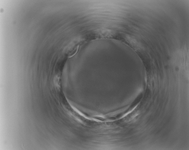 X0000061141010200512091928