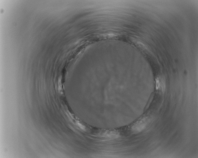 X0000061141011200512091928