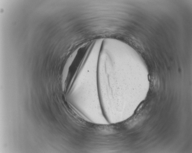 X0000061141012200512091928