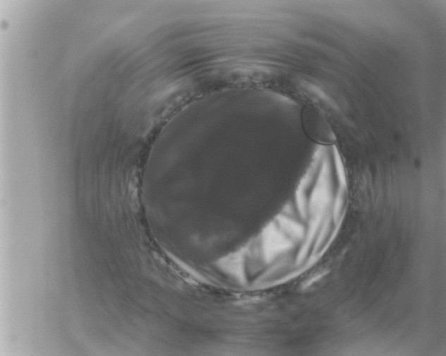 X0000061141013200512091928