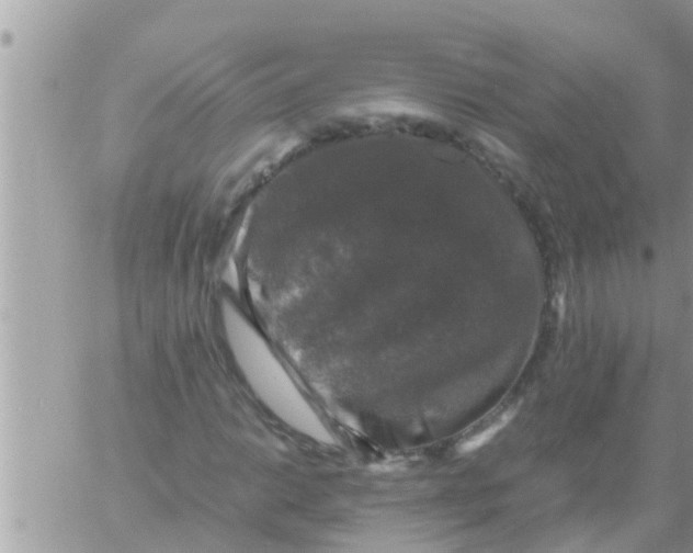 X0000061141014200512091928