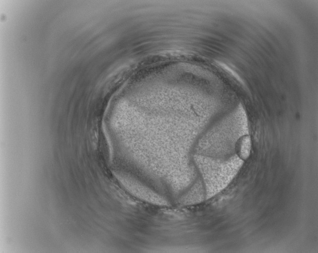 X0000061141015200512091928