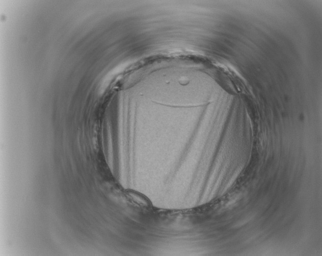 X0000061141016200512091928