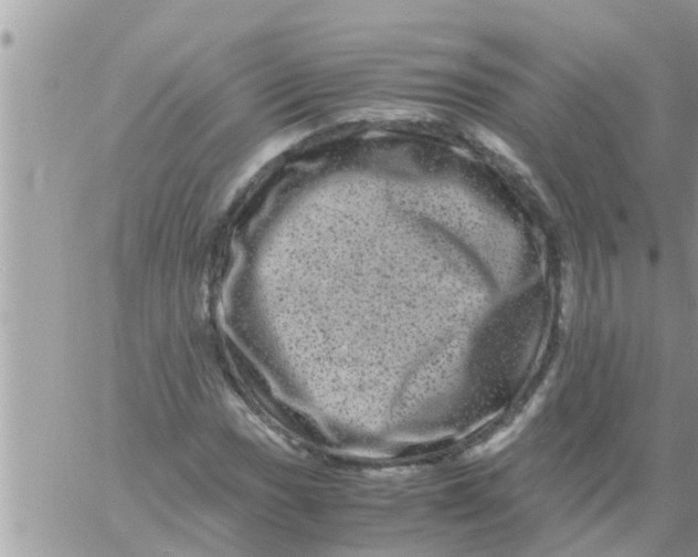 X0000061141017200512091928