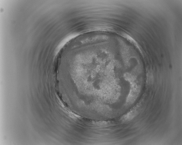 X0000061141019200512091928