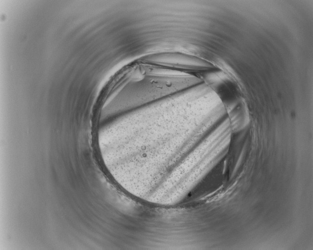 X0000061141020200512091928