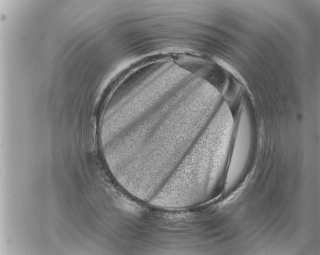 X0000061141021200512091928