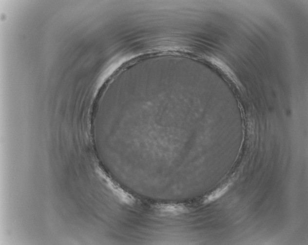 X0000061141023200512091928