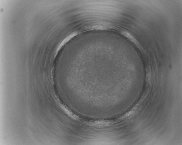 X0000061141026200512091928