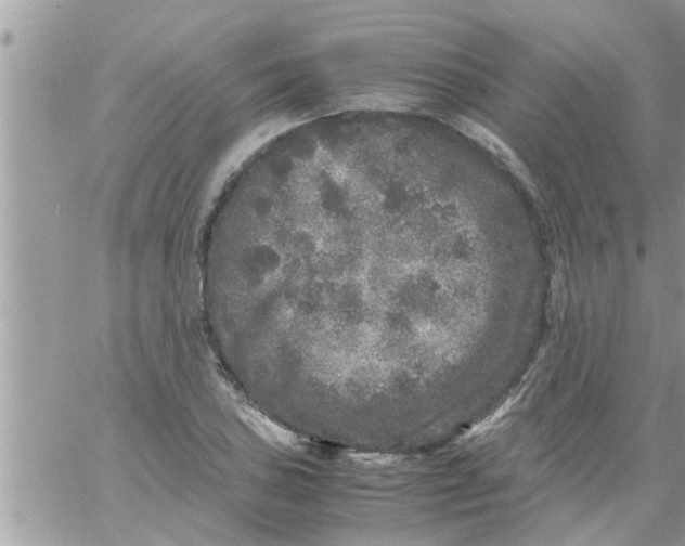 X0000061141027200512091928