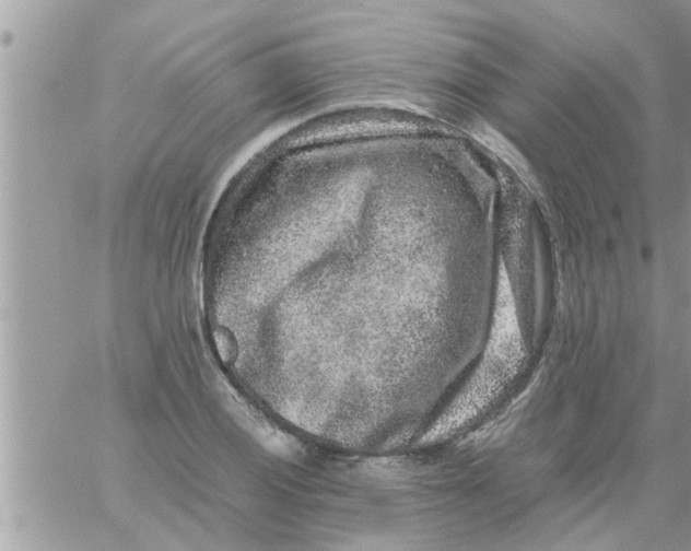 X0000061141028200512091928