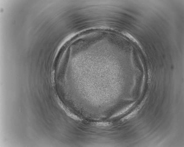 X0000061141029200512091928