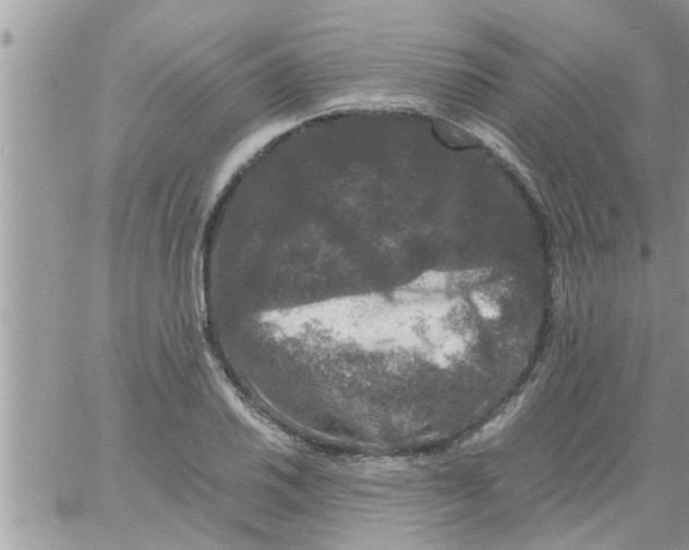 X0000061141030200512091928