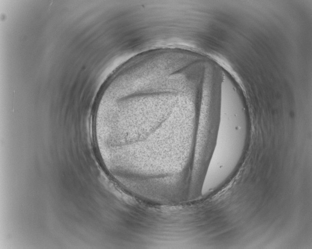 X0000061141032200512091928