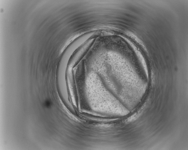 X0000061141033200512091928