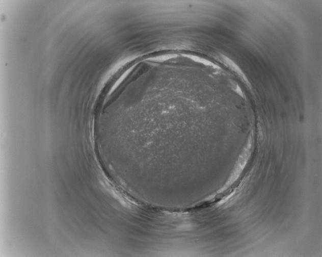 X0000061141035200512091928