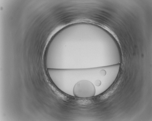 X0000061141037200512091929