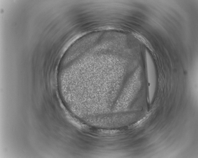 X0000061141039200512091929