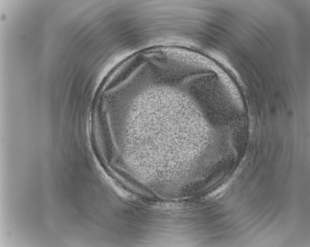 X0000061141040200512091929