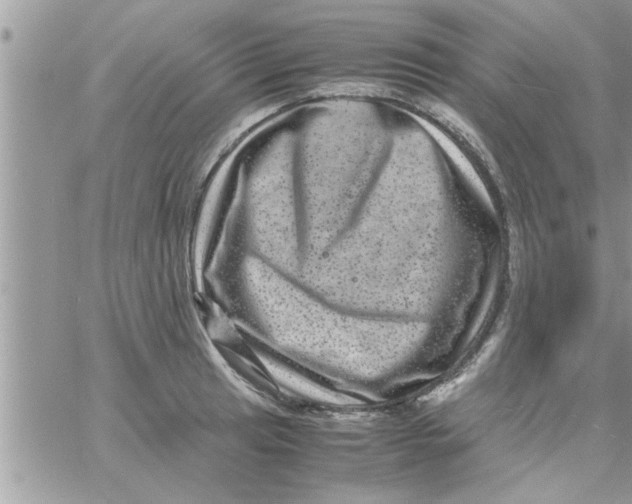 X0000061141041200512091929