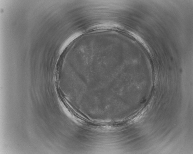 X0000061141042200512091929