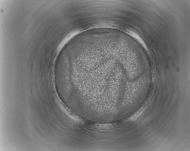 X0000061141043200512091929