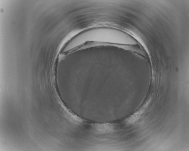 X0000061141045200512091929