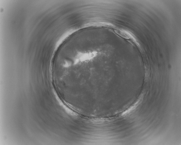 X0000061141046200512091929