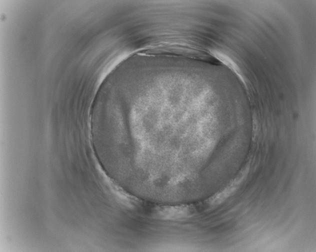 X0000061141047200512091929