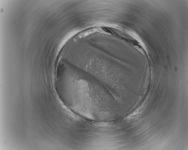 X0000061141048200512091929