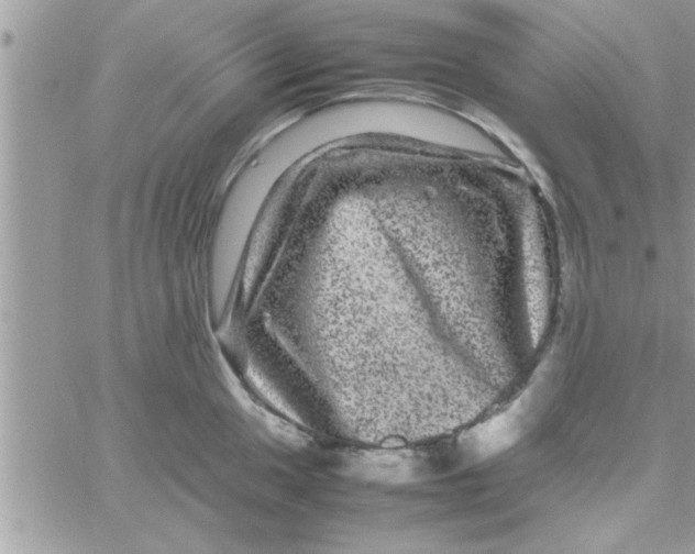 X0000061141049200512091929