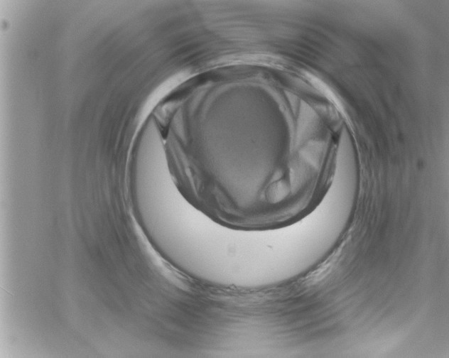 X0000061141050200512091929