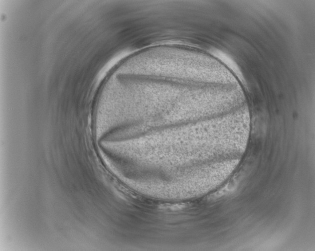 X0000061141051200512091929