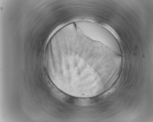 X0000061141052200512091929