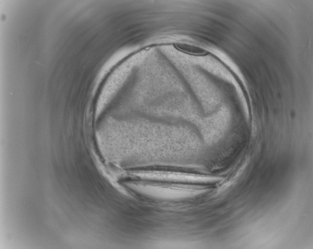 X0000061141053200512091929