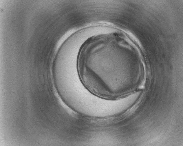 X0000061141054200512091929