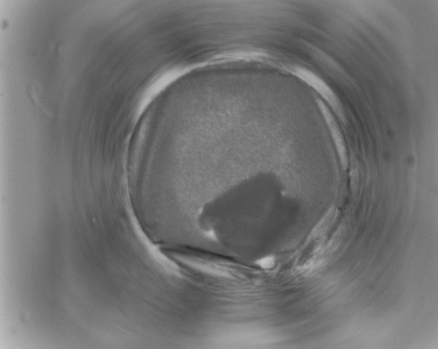 X0000061141055200512091929