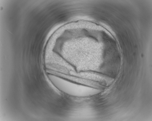 X0000061141056200512091929